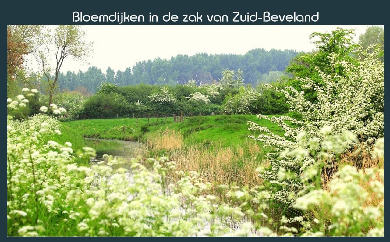Vakantiewoning Deltahof Ellewoutsdijk Екстериор снимка